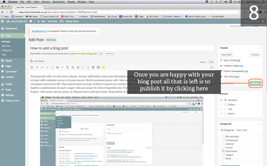 Publish your WordPress Blog Post