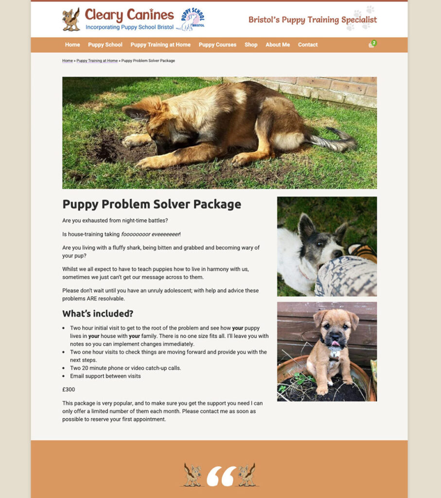 One of the website visuals we designed for Cleary Canines