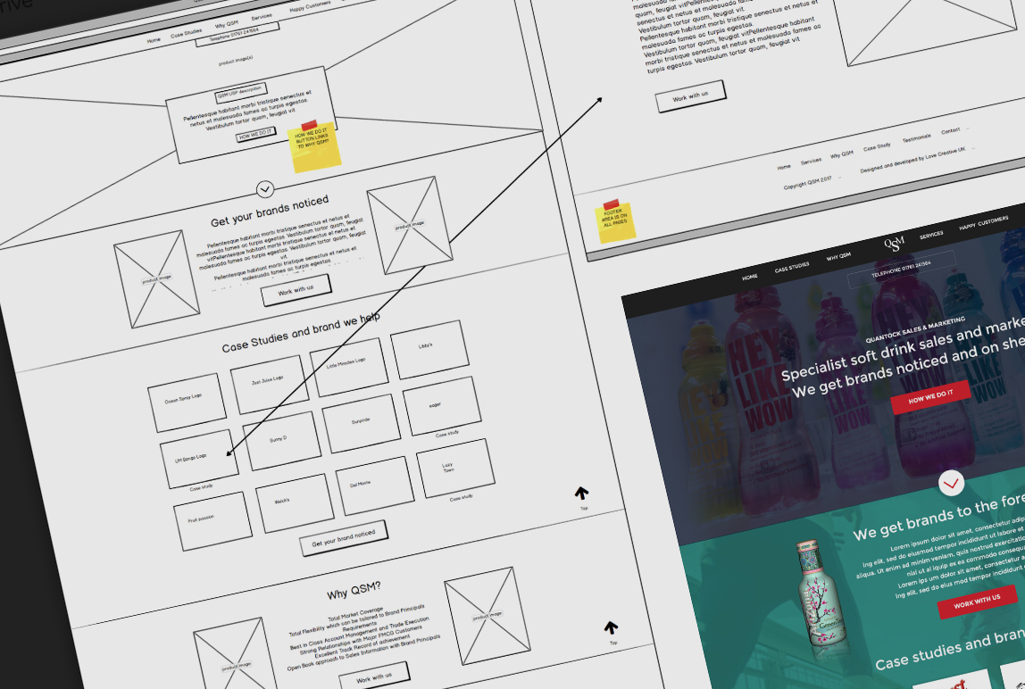 QSM wireframe and visual