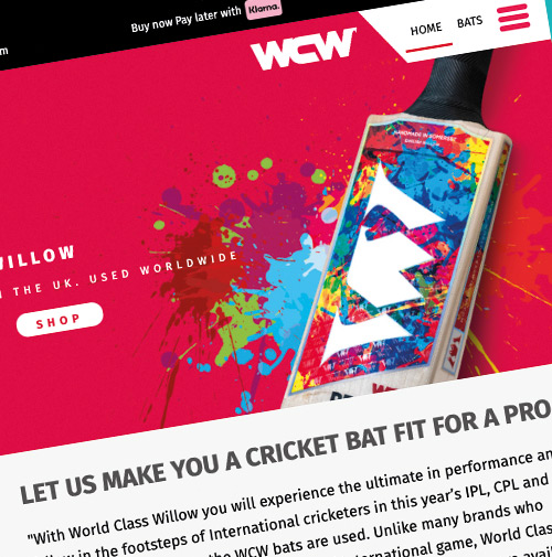 World Class Willow website