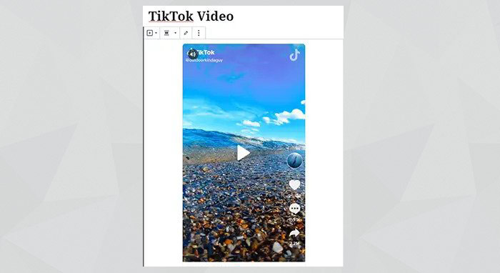 An embedded TikTok video in the WordPress site dashboard, to see how to display TikTok Posts